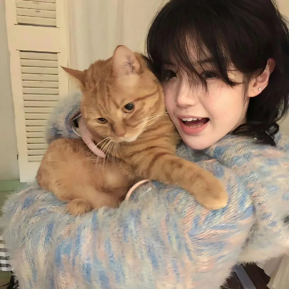 哈拉猛男秀2:欧洲种马